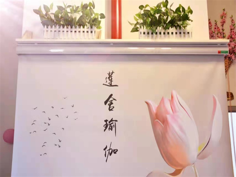 莲舍瑜伽